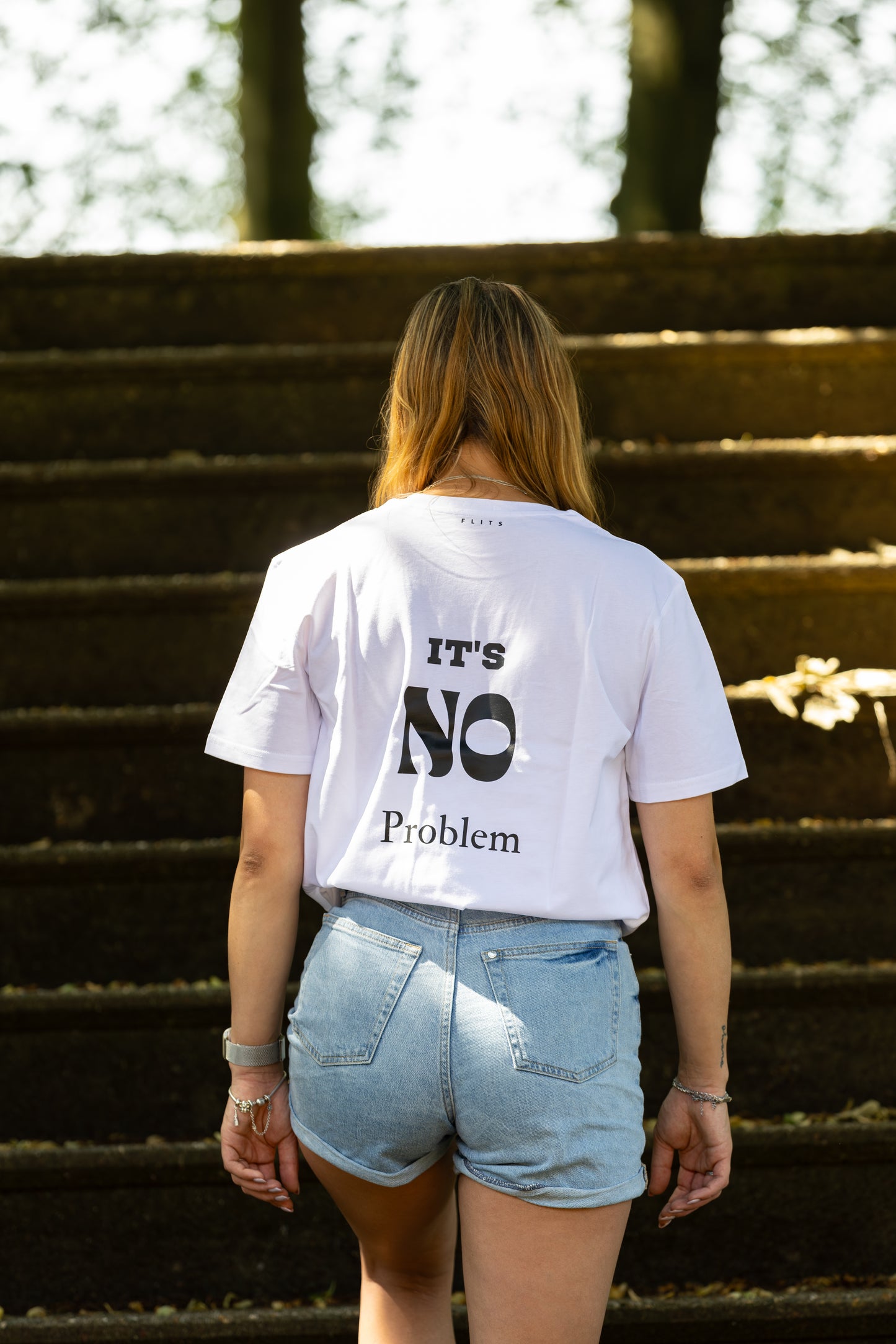 T-shirt It's no problem ( No problem ) unisex