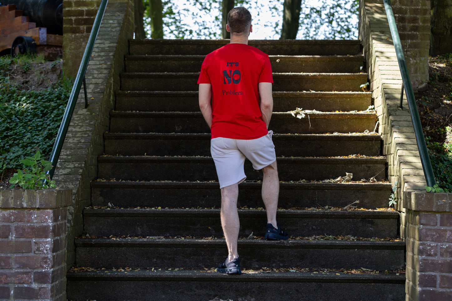 T-shirt It's no problem ( No problem ) unisex